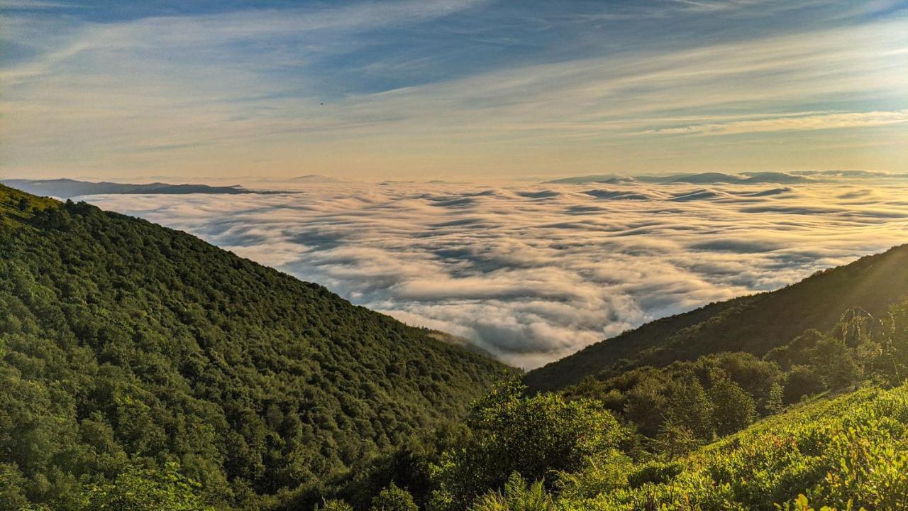 Gostynna Rodyna Izki Exterior foto