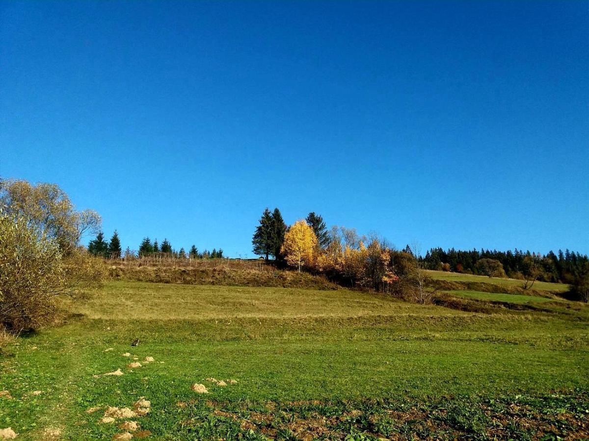 Gostynna Rodyna Izki Exterior foto