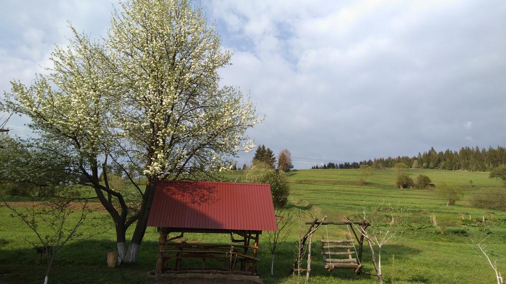 Gostynna Rodyna Izki Exterior foto