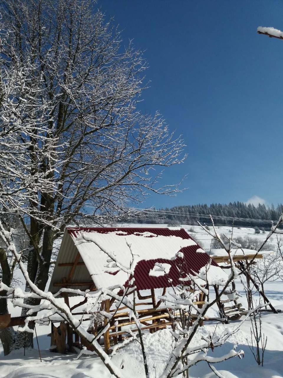 Gostynna Rodyna Izki Exterior foto