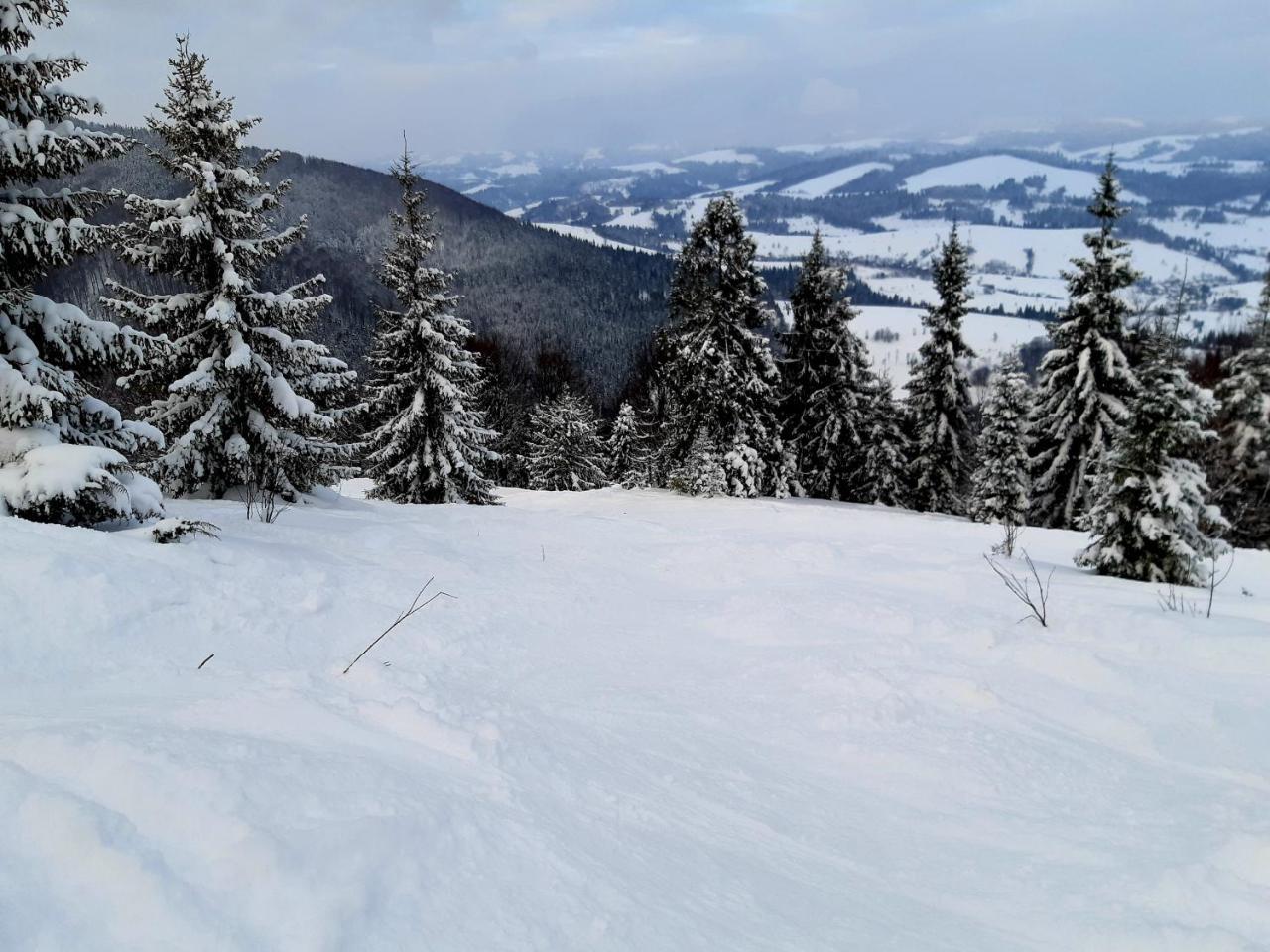 Gostynna Rodyna Izki Exterior foto