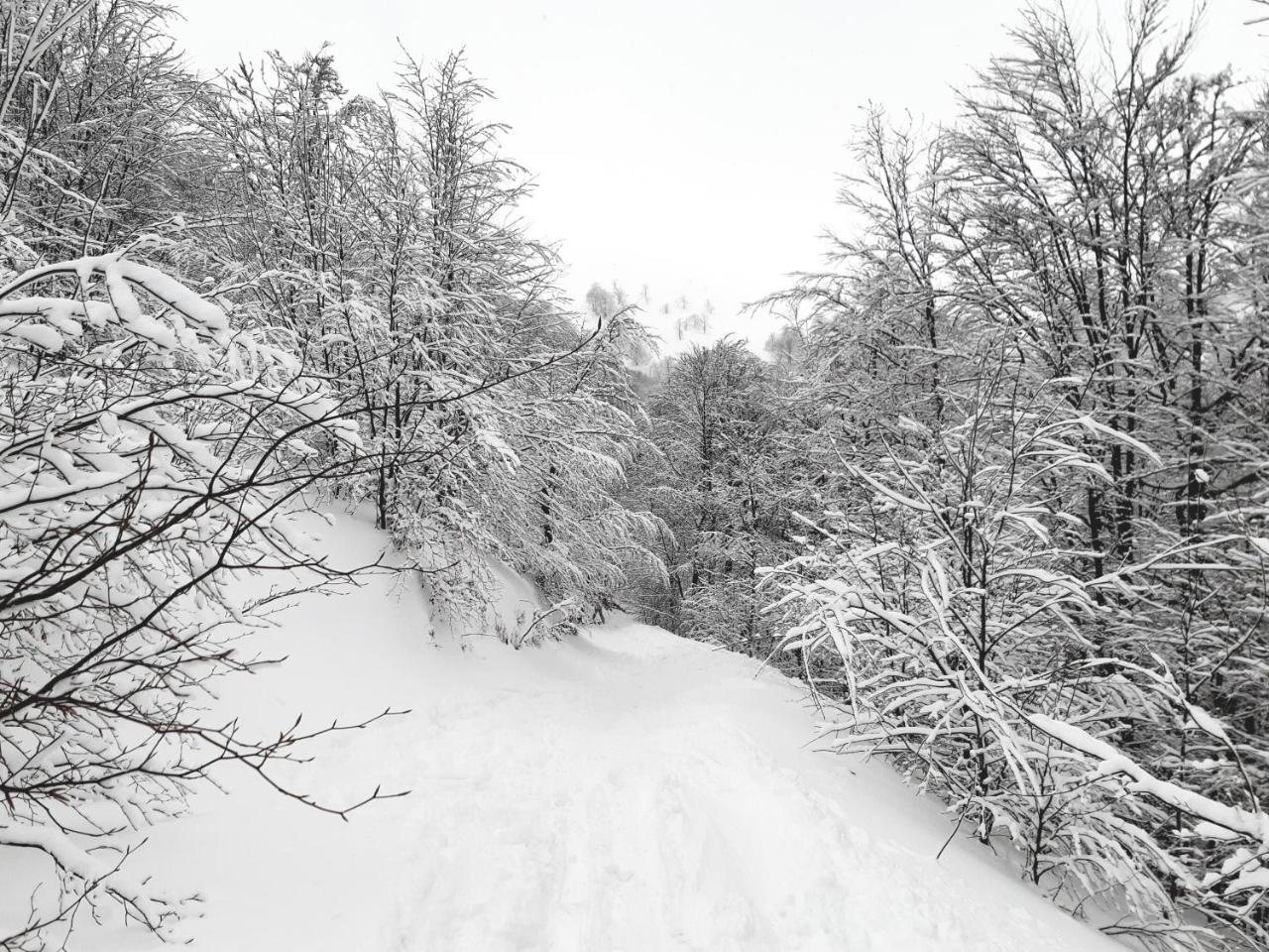 Gostynna Rodyna Izki Exterior foto