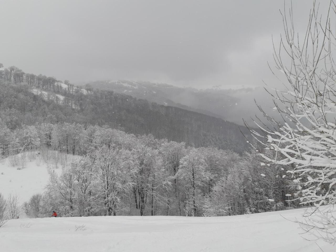 Gostynna Rodyna Izki Exterior foto