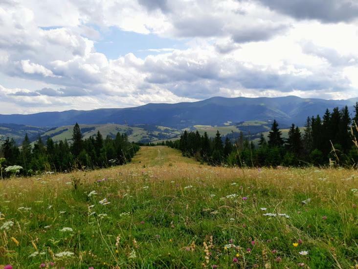 Gostynna Rodyna Izki Exterior foto
